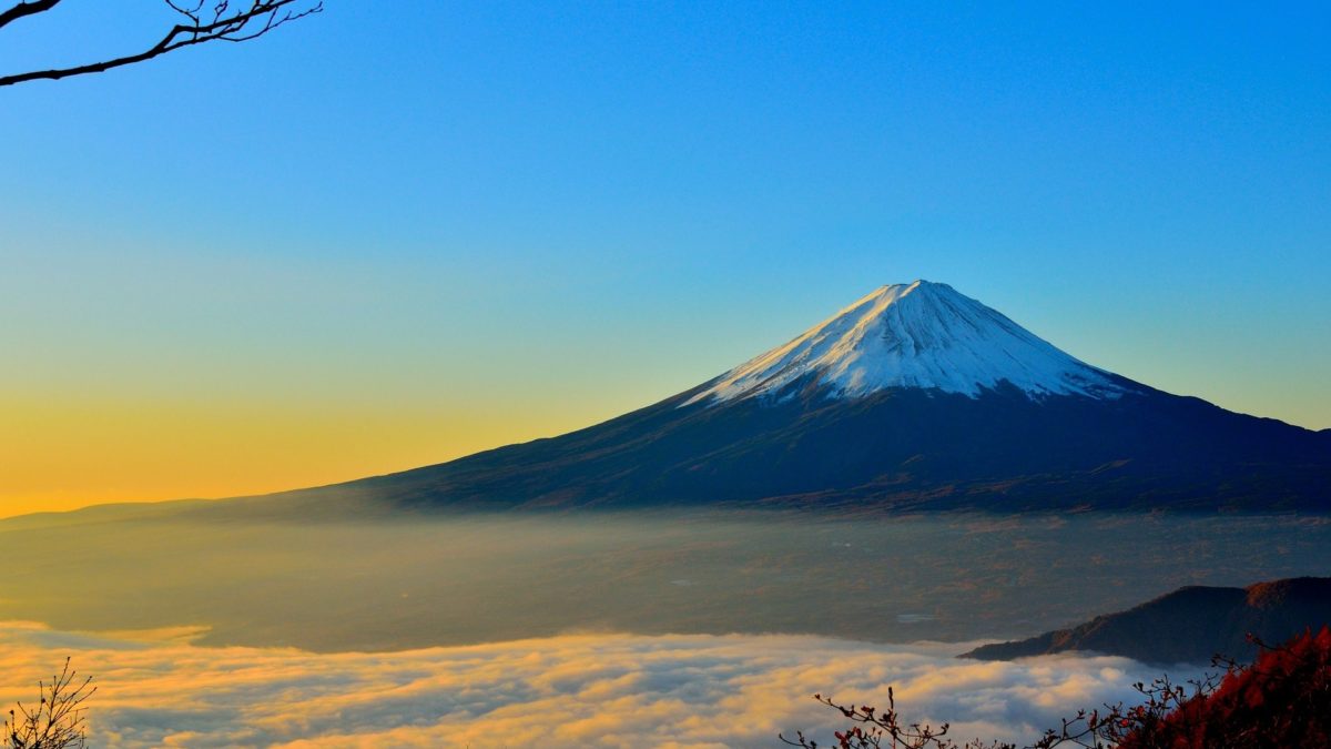 Mount Fuji overlooking forest