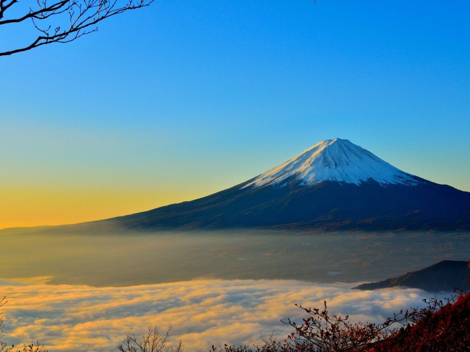 Mount Fuji overlooking forest