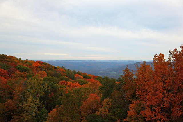 An overview of a rural West Virginia forest with red, orange, and green trees and mountains.