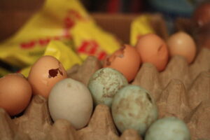 Rotting Eggs