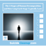 the 5 stages of human decomposition