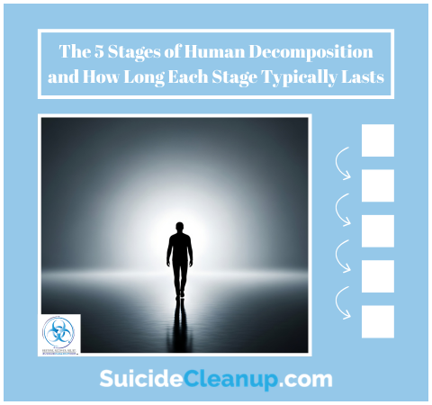 the 5 stages of human decomposition